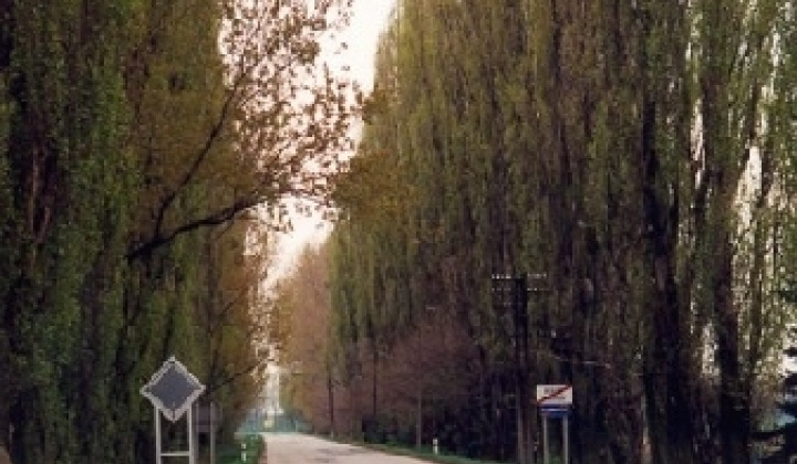 Obec a jej okolie